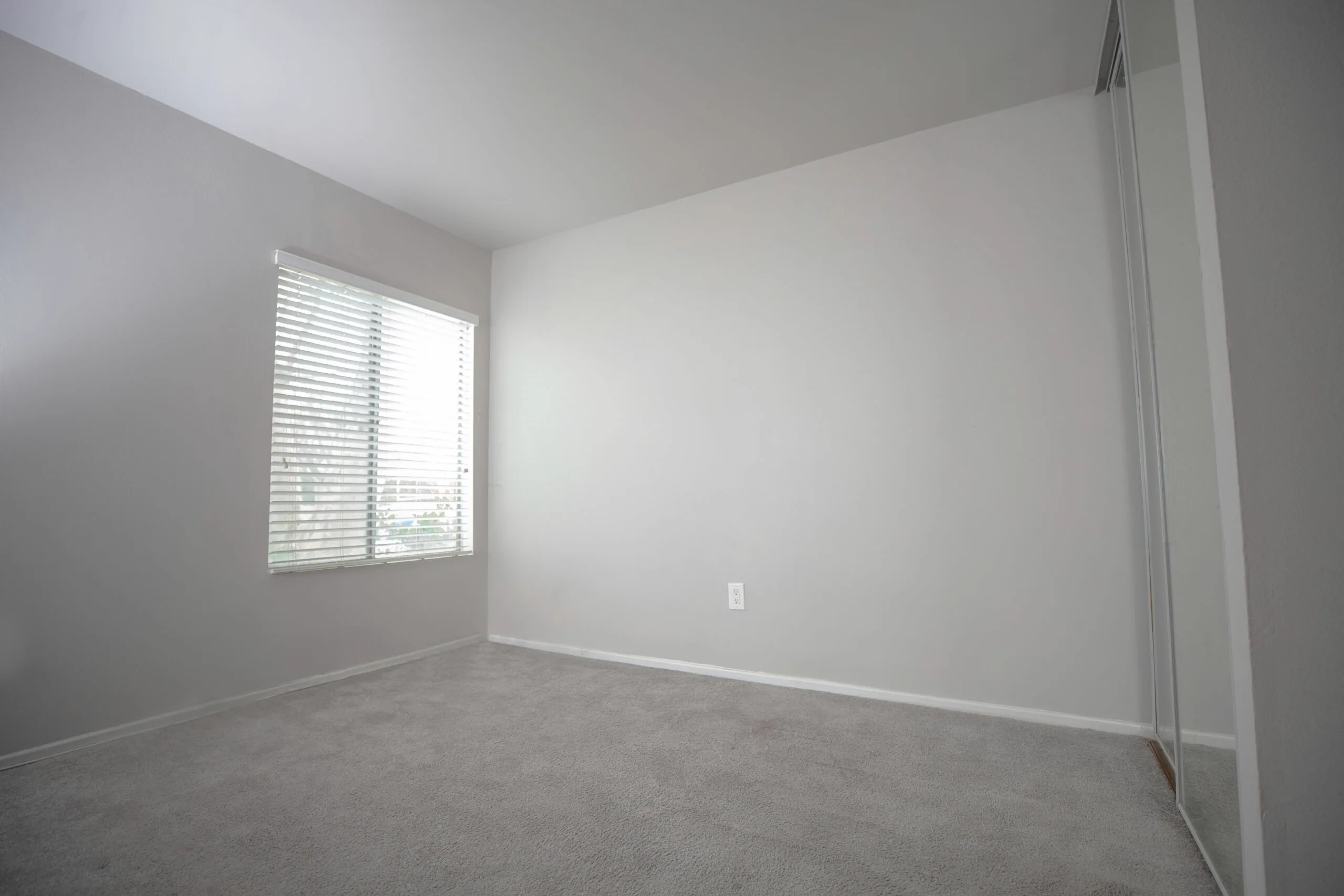 Freshly installed carpet in a bright bedroom