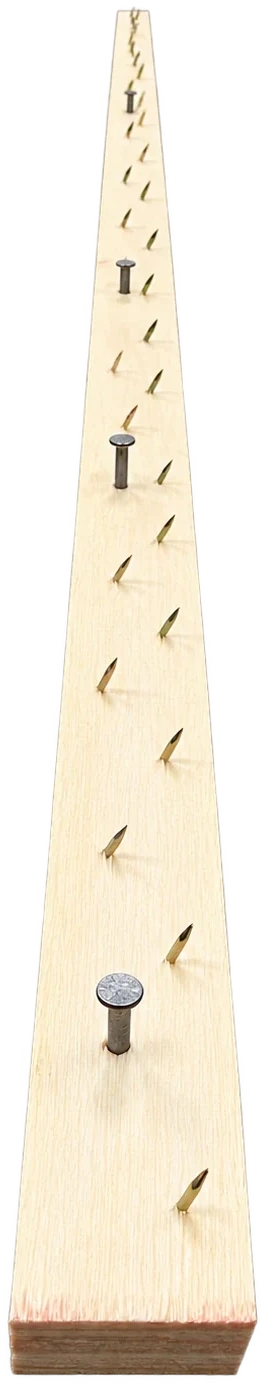 1.2m timber Smoothedge strip with carpet gripper pins and concrete nails