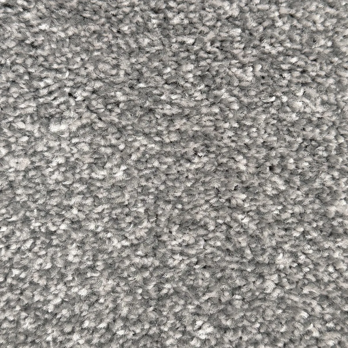 Speckled silver Everyday Plus carpet texture