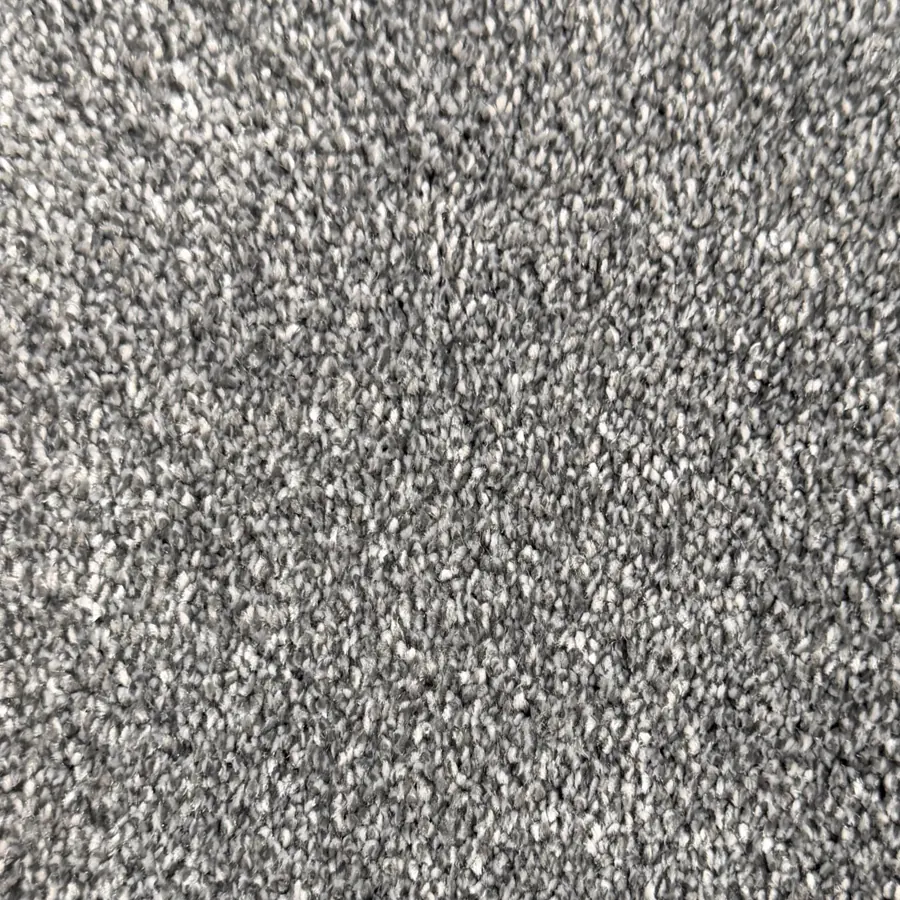 Ash grey Everyday Premium carpet texture