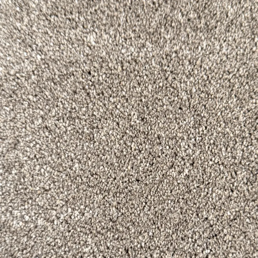 No. 21 Cocoa brown carpet colour
